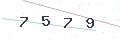 验证码